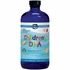 Children's DHA Liquid, Strawberry, 16 oz, Nordic Naturals