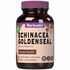 Standardized Echinacea Goldenseal Root Extract, 60 Vcaps, Bluebonnet Nutrition