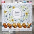Desobry Luxury Belgian Biscuits, 10.6 oz (300 g)