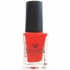 Bonita Salon Nail Polish - Girl's Night Out, 0.5 oz (15 ml), Bonita Cosmetics