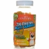 Zoo Friends Multi Gummies Plus Extra C for Children, Value Size