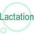 Lactation Care