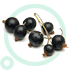 Black Currant