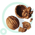 Black Walnut