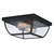 Outdoor Ceiling Lights