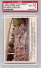 1965 Disney Puzzleback - Disneyland Submarine #13 PSA 8 1965 Disney Puzzleback - Disneyland Submarine #13 PSA 8