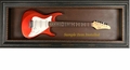 Guitar Display Case