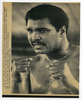 1980 Boxing MUHAMMAD ALI In DEER LAKE Vintage Photograph TRAINING FOR LARRY HOLMES 1980 Boxing MUHAMMAD ALI In DEER LAKE Vintage Photograph TRAINING FOR LARRY HOLMES