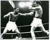 1981 Boxing DAVEY LEE ARMSTRONG vs ARTURO LEON Vintage Photograph 1981 Boxing DAVEY LEE ARMSTRONG vs ARTURO LEON Vintage Photograph