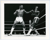 1981 Boxing JOSHUA JOHNSON vs DARNELL HAYES Vintage Photograph 1981 Boxing JOSHUA JOHNSON vs DARNELL HAYES Vintage Photograph