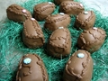 Chocolate Covered Egg Chocolate Covered Egg