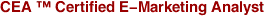 CEA ™ Certified E-Marketing Analyst