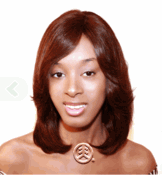 Beverly Johnson Wig Celebrity Handmade Hair Wig Elite Beverly Johnson Wig Celebrity Handmade Hair Wig Elite