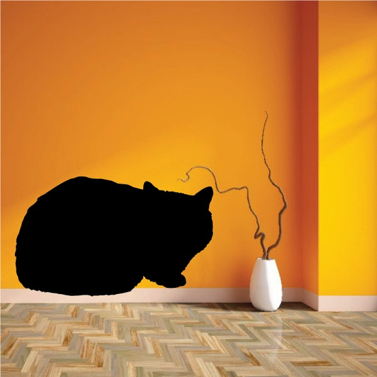Exotic Short Hair Cat Sleeping Decal