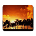 Brite Mat Ultra Precise Mouse Pad Tropical GENUINE BRITE MAT Brite Mat Ultra Precise Mouse Pad Tropical GENUINE BRITE MAT