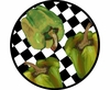 Picnic Pepper/Green - Unrimmed Salad Plate Picnic Pepper/Green - Unrimmed Salad Plate