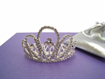 Dazzling Rhinestone Tiara Comb (F)