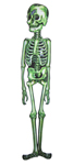 Mr. Green Skeleton Decoration