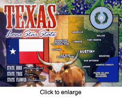 Texas State Postcard (out of stock) - click to enlarge