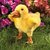 Folkmanis Puppet <br>Duckling Folkmanis Puppet <br>Duckling