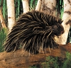 Folkmanis Puppet <br>Porcupine Folkmanis Puppet <br>Porcupine