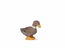 Holztiger Duck <br>Hen Standing Holztiger Duck <br>Hen Standing
