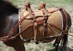 Sawbuck Pack Saddle for Sale Sawbuck Pack Saddle for Sale