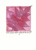 Season's Gifts All Occasions Greeting Card Season's Gifts All Occasions Greeting Card