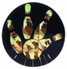 Bowling 2in Black/Gold Hologram Mylar Insert Bowling 2in Black/Gold Hologram Mylar Insert