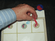 Hands-On Body System's ACTIVITY: Step-by-Step Construction of the Lymph System & Building Your Army of WBC's! Hands-On Body System's ACTIVITY: Step-by-Step Construction of the Lymph System & Building Your Army of WBC's!