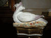 ANTIQUE STAFFORDSHIRE PIGEON DOVE ON NEST TRINKET BOX fairing FIGURAL ANTIQUE STAFFORDSHIRE PIGEON DOVE ON NEST TRINKET BOX fairing FIGURAL