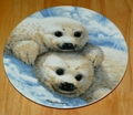 1990 Plate Baby Seals Series Name Beauty of Polar Wildlife 1990 Plate Baby Seals Series Name Beauty of Polar Wildlife