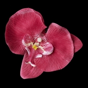 Hot Pink Orchid Hair Flower Clip 9945 Hot Pink Orchid Hair Flower Clip 9945