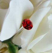 Red Bouquet Crystal Jewelry Picks BQ-Solataire Red Red Bouquet Crystal Jewelry Picks BQ-Solataire Red