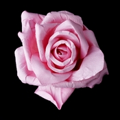 Elegant Pink Rose BQ 9848 Elegant Pink Rose BQ 9848