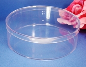 Tiara Display Storage Container Tiara Display Storage Container