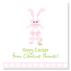 Gingham Bunny/Set of 25 Gingham Bunny/Set of 25