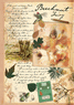 Beechnut Fairy Flower Fairies 500 Piece Puzzle by Cicely Mary Barker Beechnut Fairy Flower Fairies 500 Piece Puzzle by Cicely Mary Barker