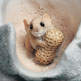 Elephant Critter Keeper Stone Critters Figurine Elephant Critter Keeper Stone Critters Figurine