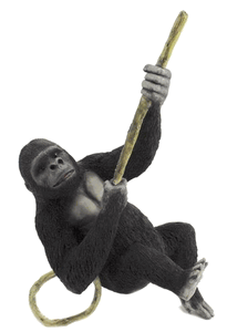 Country Artist Wildlife Collection Country Artist Wildlife Collection