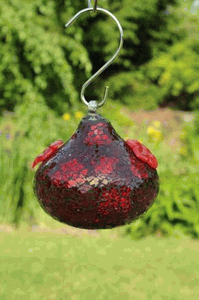 Bird Brain Hummingbird Feeders Bird Brain Hummingbird Feeders