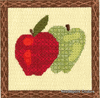 Apples Canvas and Stitch Guide