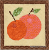 Orange &amp; Grapefruit Canvas and Stitch Guide