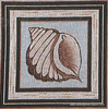 Brown Conch Needlepoint Canvas