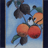 Bird in Fruit Tree Needlepoint Canvas Bird in Fruit Tree Needlepoint Canvas