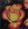 Rosebud Needlepoint Canvas Rosebud Needlepoint Canvas