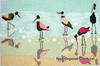 Shorebirds Needlepoint Canvas