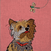 Dogs Dogs