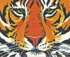 Tiger Face Needlepoint Canvas Tiger Face Needlepoint Canvas