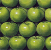 Apples Needlepoint Canvas